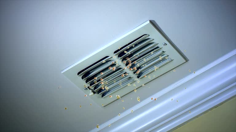 Best Affordable HVAC Duct Cleaning  in Uniontown, AL