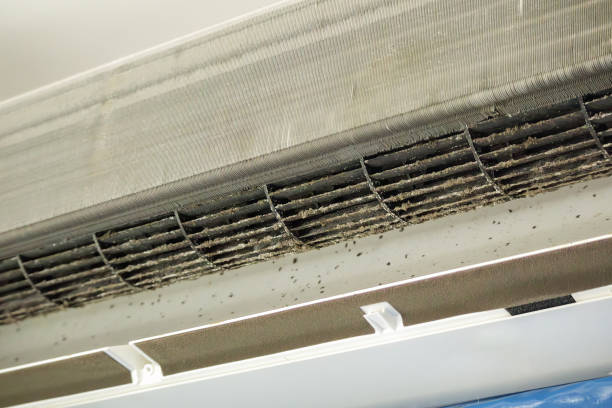 Best Professional Duct Cleaning Services  in Uniontown, AL